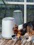 Умная автоматическая кормушка с Wi-Fi для кошек и собак Petoneer Nutri Feeder (FDW010) Белый
